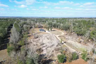 16989 NW Eg Buck Larkins Rd, Bristol, FL 32321 - Photo 32