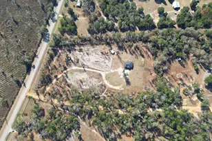 16989 NW Eg Buck Larkins Rd, Bristol, FL 32321 - Photo 28