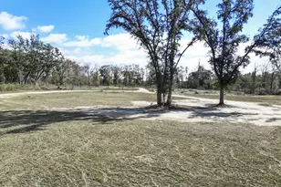 16989 NW Eg Buck Larkins Rd, Bristol, FL 32321 - Photo 26