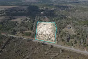 16989 NW Eg Buck Larkins Rd, Bristol, FL 32321 - Photo 36