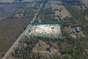 16989 NW Eg Buck Larkins Rd, Bristol, FL 32321 - Photo 34