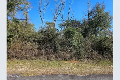 000 Flynt Drive, Marianna, FL 32446 - Photo 4