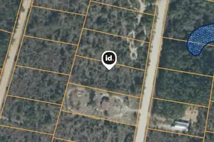 Xx Edison Ave, Alford, FL 32420 - Photo 1