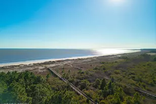 197 Cape Pointe Dr, Port Saint Joe, FL 32456 - Photo 28