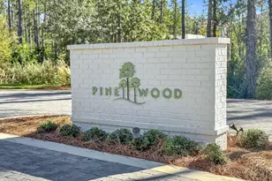 291 S County Hwy 393, Santa Rosa Beach, FL 32459 - Photo 42