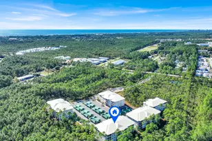 291 S County Hwy 393, Santa Rosa Beach, FL 32459 - Photo 34