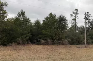 000 Russell Ave, Alford, FL 32420 - Photo 1