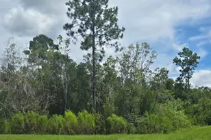 8703 Conch Shell Ct, Panama City Beach, FL 32413 - Photo 6