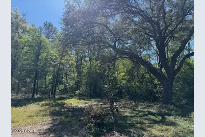 00 Orchid Lane, Freeport, FL 32439 - Photo 2