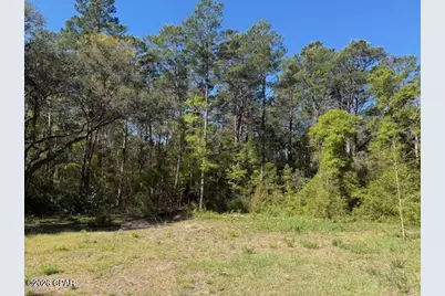 00 Orchid Lane, Freeport, FL 32439 - Photo 4