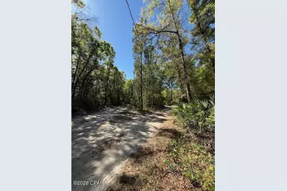 00 Orchid Lane, Freeport, FL 32439 - Photo 6