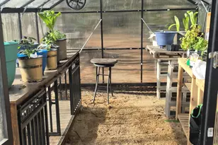 2739 Bellaire Ct, Alford, FL 32420 - Photo 36