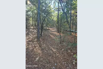 2739 Bellaire Court, Alford, FL 32420 - Photo 24