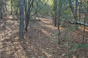 2739 Bellaire Ct, Alford, FL 32420 - Photo 22