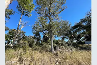 5704 Highway 2297, Panama City, FL 32404 - Photo 8