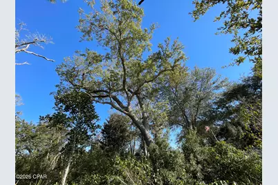 5704 Highway 2297, Panama City, FL 32404 - Photo 10