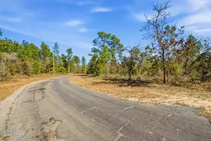 Lot 36 Hernando Circle, Chipley, FL 32428 - Photo 1