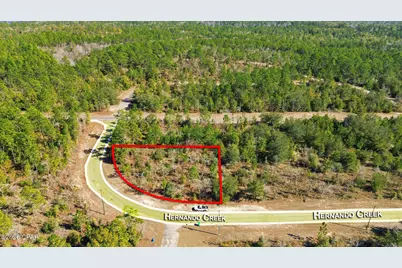 Lot 36 Hernando Circle, Chipley, FL 32428 - Photo 4