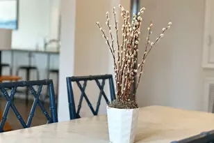 135 Saltspray Ct, Port Saint Joe, FL 32456 - Photo 8