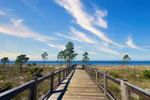 135 Saltspray Ct, Port Saint Joe, FL 32456 - Photo 44