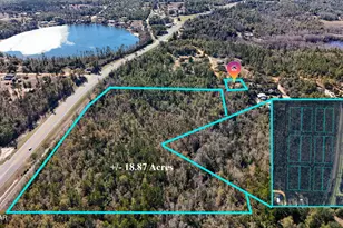 0000 White Pond Church Rd, Alford, FL 32420 - Photo 1