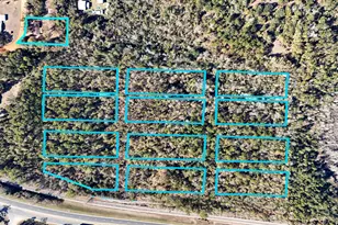 2424 White Pond Church Rd, Alford, FL 32420 - Photo 24