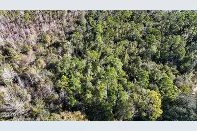 2424 White Pond Church Road, Alford, FL 32420 - Photo 26