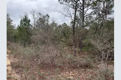 3100 Bonnett Pond Road, Chipley, FL 32428 - Photo 46