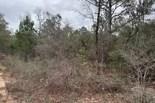 3100 Bonnett Pond Rd, Chipley, FL 32428 - Photo 46