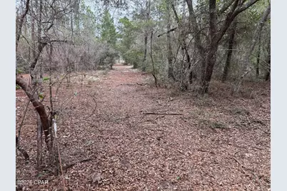 3100 Bonnett Pond Road, Chipley, FL 32428 - Photo 44