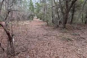 3100 Bonnett Pond Rd, Chipley, FL 32428 - Photo 44