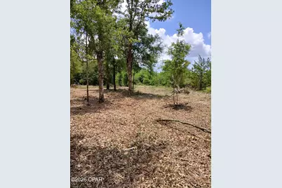 00 Western Road, Fountain, FL 32438 - Photo 2