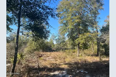 00 Western Road, Fountain, FL 32438 - Photo 8