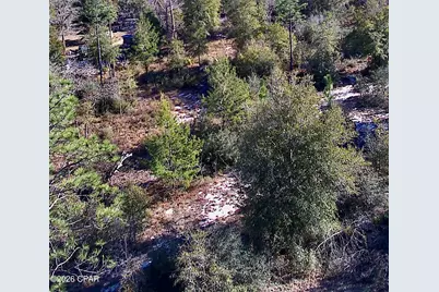 00 Western Road, Fountain, FL 32438 - Photo 6