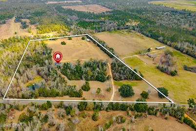 5786 Reddoch Road, Marianna, FL 32446 - Photo 4