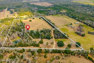 5786 Reddoch Rd, Marianna, FL 32446 - Photo 4