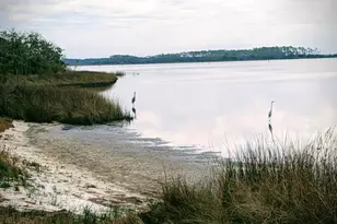 6320 River House Dr, Panama City Beach, FL 32413 - Photo 74