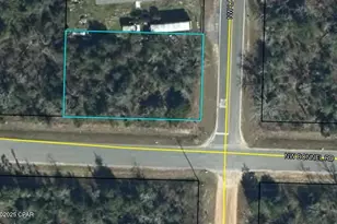 Xxx NW Nw Lake McKenzie Blvd, Altha, FL 32421 - Photo 1