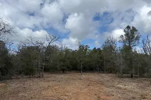 000 Birwood Ct, Chipley, FL 32428 - Photo 1