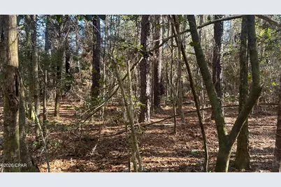 660 White Creek Road, Ponce de Leon, FL 32455 - Photo 20