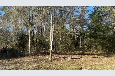 660 White Creek Road, Ponce de Leon, FL 32455 - Photo 36