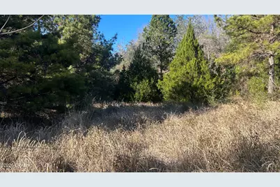 660 White Creek Road, Ponce de Leon, FL 32455 - Photo 30