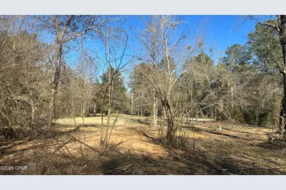 660 White Creek Road, Ponce de Leon, FL 32455 - Photo 8