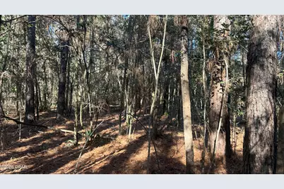 660 White Creek Road, Ponce de Leon, FL 32455 - Photo 26