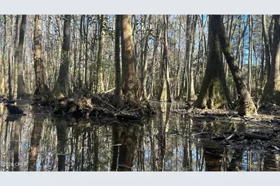 660 White Creek Road, Ponce de Leon, FL 32455 - Photo 24