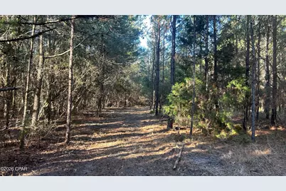 660 White Creek Road, Ponce de Leon, FL 32455 - Photo 14