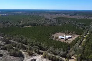 1112 Max Herrin Rd, Chattahoochee, FL 32324 - Photo 64