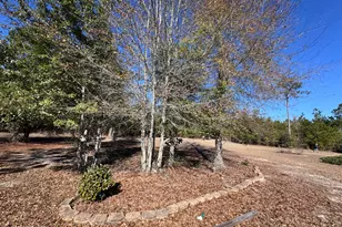 1112 Max Herrin Rd, Chattahoochee, FL 32324 - Photo 42