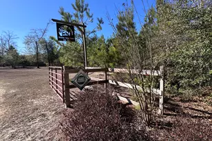 1112 Max Herrin Rd, Chattahoochee, FL 32324 - Photo 4