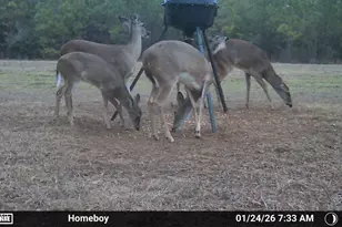 1112 Max Herrin Rd, Chattahoochee, FL 32324 - Photo 68